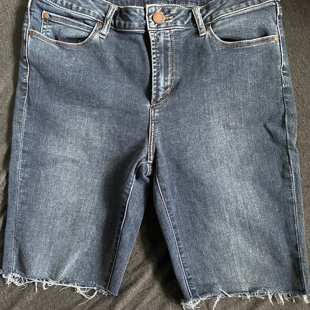 ARTICLES OF SOCIETY shorts size 30